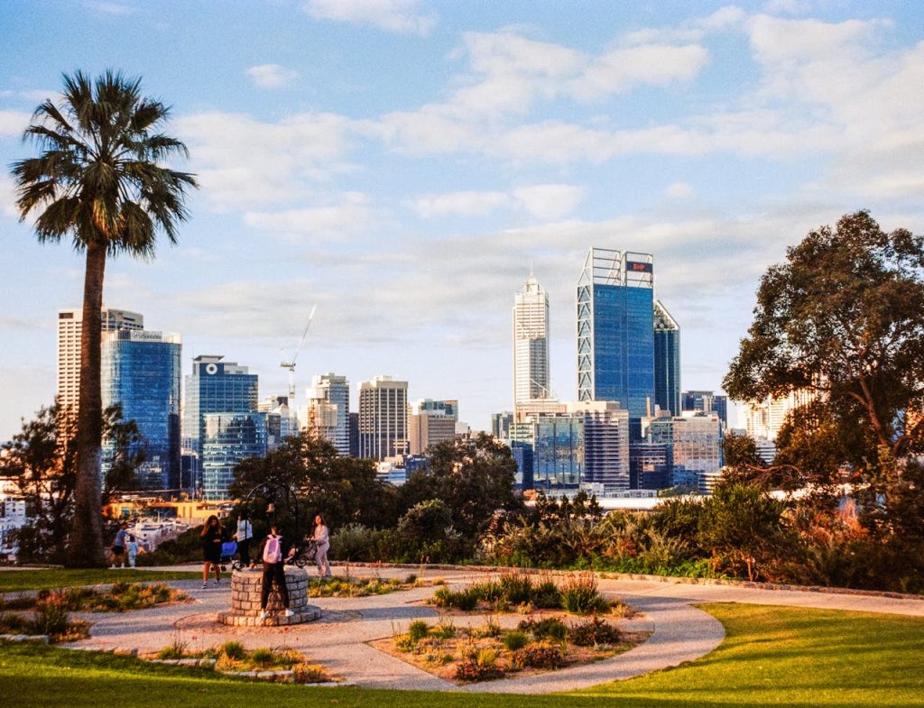 Vibrant skyline of Perth with greenery from Kings Park, featuring skyscrapers and a palm tree.